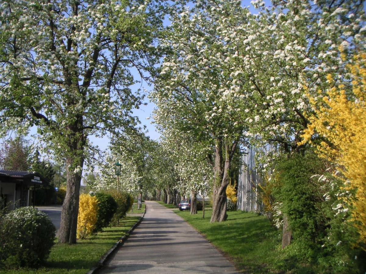 Ferien-garconniere Hemetsberger *